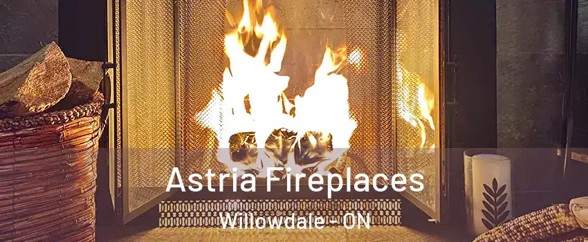  Astria Fireplaces Willowdale - ON