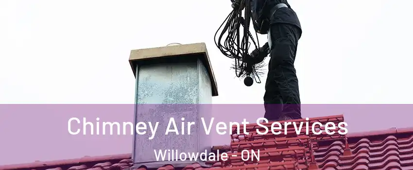  Chimney Air Vent Services Willowdale - ON