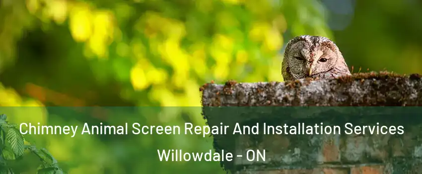  Chimney Animal Screen Repair And Installation Services Willowdale - ON