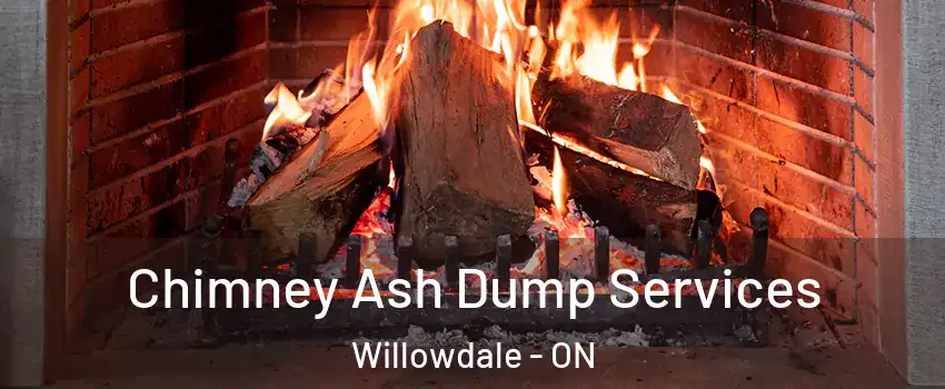  Chimney Ash Dump Services Willowdale - ON