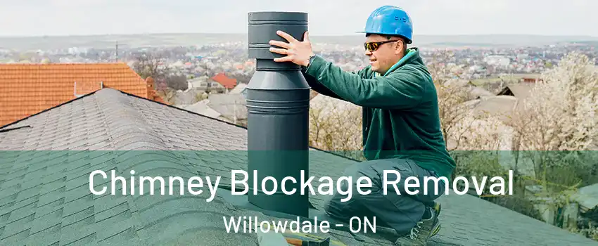  Chimney Blockage Removal Willowdale - ON