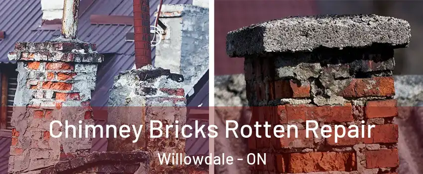  Chimney Bricks Rotten Repair Willowdale - ON
