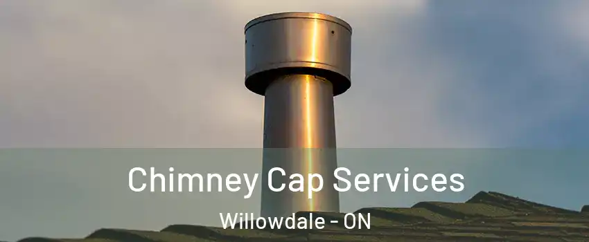  Chimney Cap Services Willowdale - ON