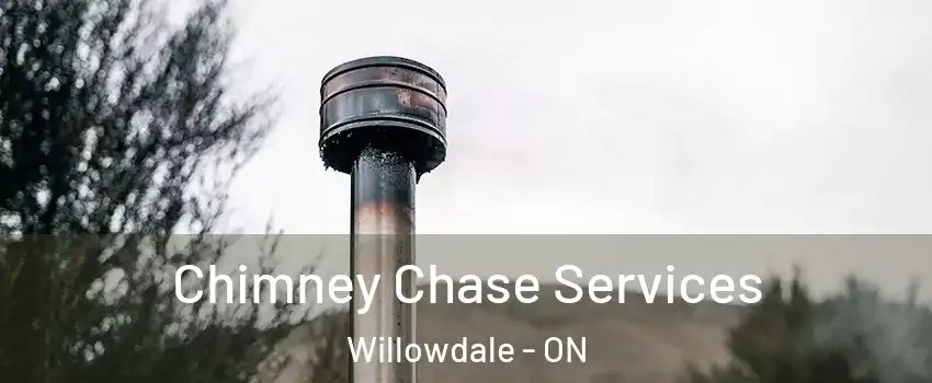  Chimney Chase Services Willowdale - ON