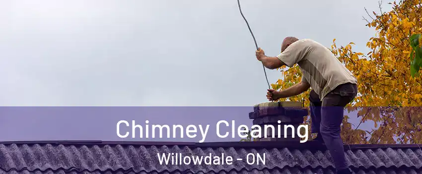  Chimney Cleaning Willowdale - ON
