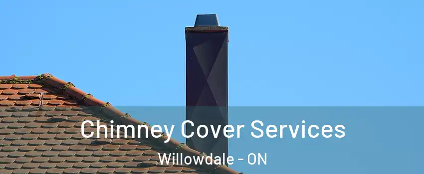  Chimney Cover Services Willowdale - ON