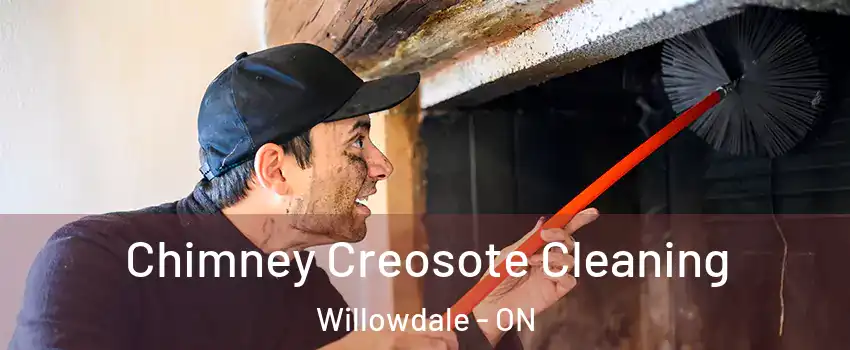  Chimney Creosote Cleaning Willowdale - ON