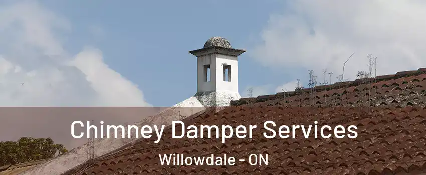  Chimney Damper Services Willowdale - ON