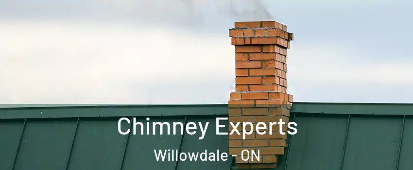 Chimney Experts Willowdale - ON