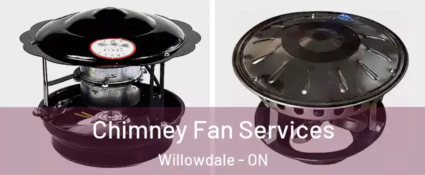  Chimney Fan Services Willowdale - ON