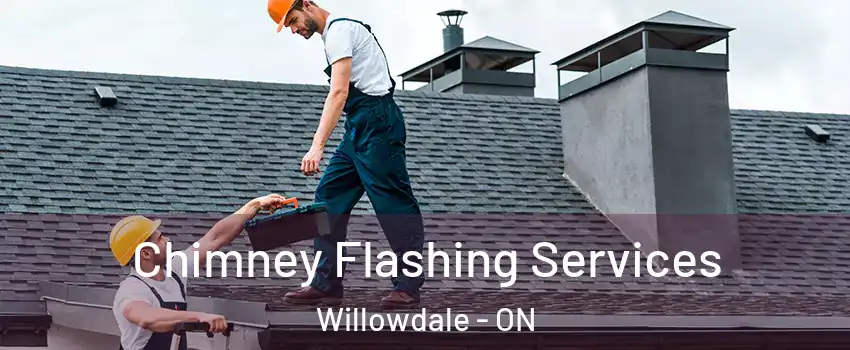 Chimney Flashing Services Willowdale - ON