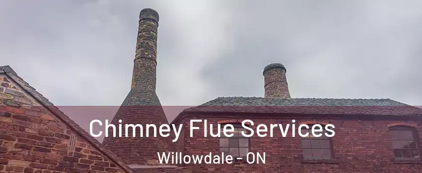  Chimney Flue Services Willowdale - ON