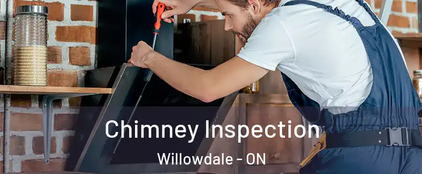  Chimney Inspection Willowdale - ON