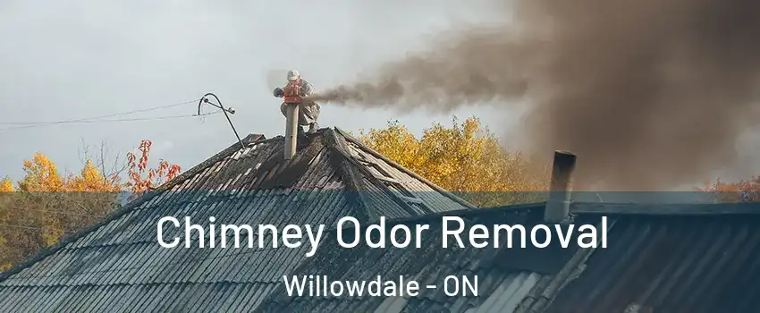  Chimney Odor Removal Willowdale - ON