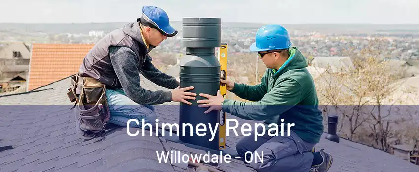  Chimney Repair Willowdale - ON