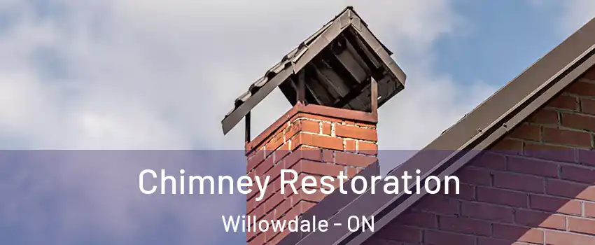  Chimney Restoration Willowdale - ON