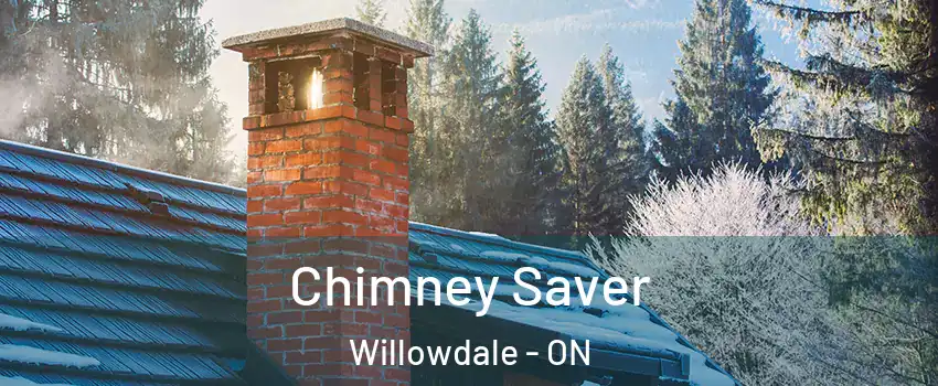  Chimney Saver Willowdale - ON