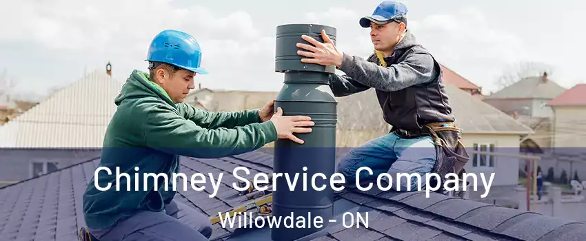  Chimney Service Company Willowdale - ON