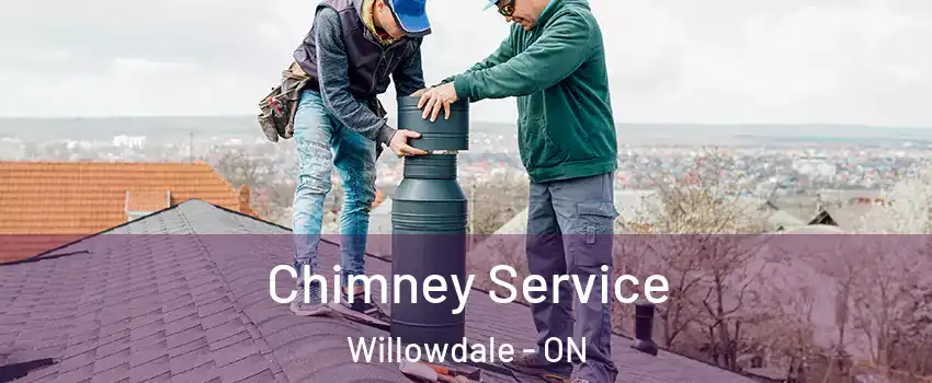  Chimney Service Willowdale - ON
