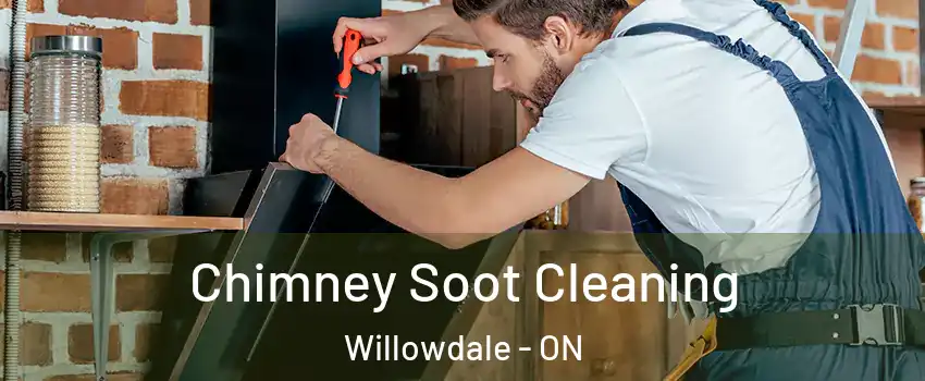  Chimney Soot Cleaning Willowdale - ON