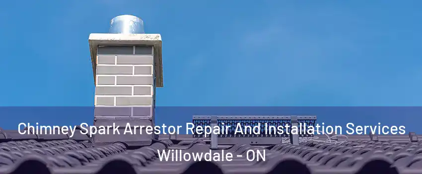  Chimney Spark Arrestor Repair And Installation Services Willowdale - ON