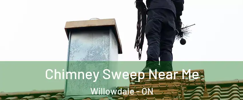  Chimney Sweep Near Me Willowdale - ON