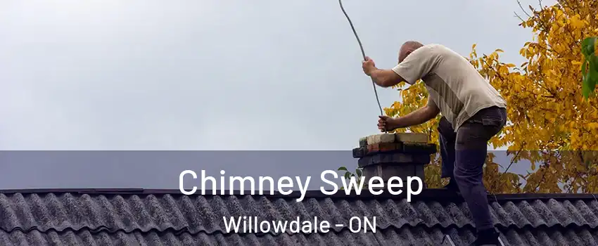  Chimney Sweep Willowdale - ON