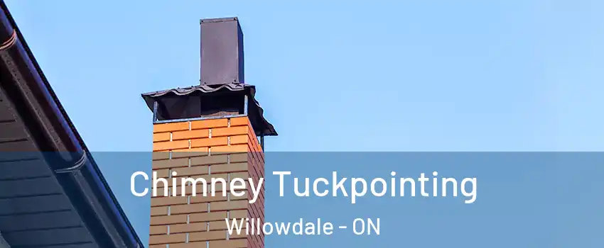  Chimney Tuckpointing Willowdale - ON
