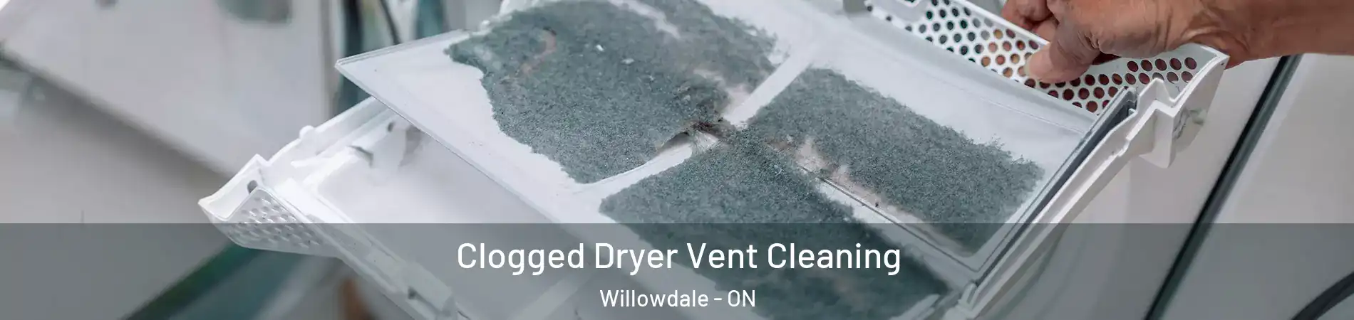  Clogged Dryer Vent Cleaning Willowdale - ON