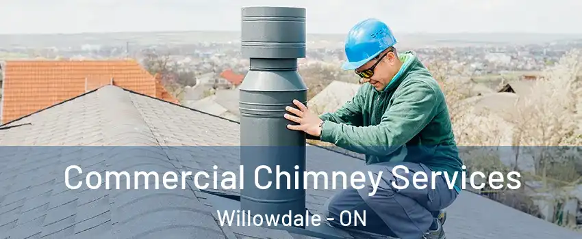 Commercial Chimney Services Willowdale - ON