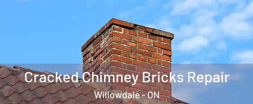  Cracked Chimney Bricks Repair Willowdale - ON