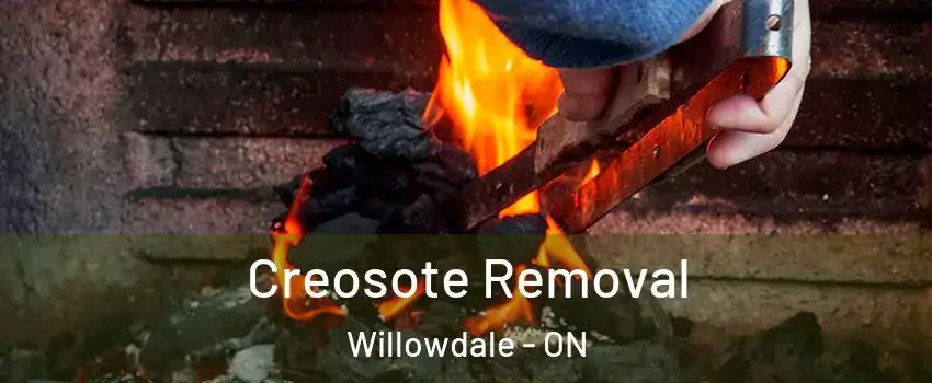  Creosote Removal Willowdale - ON