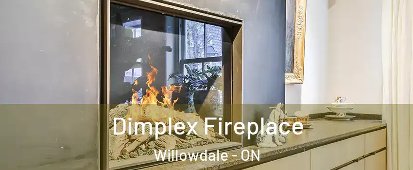  Dimplex Fireplace Willowdale - ON