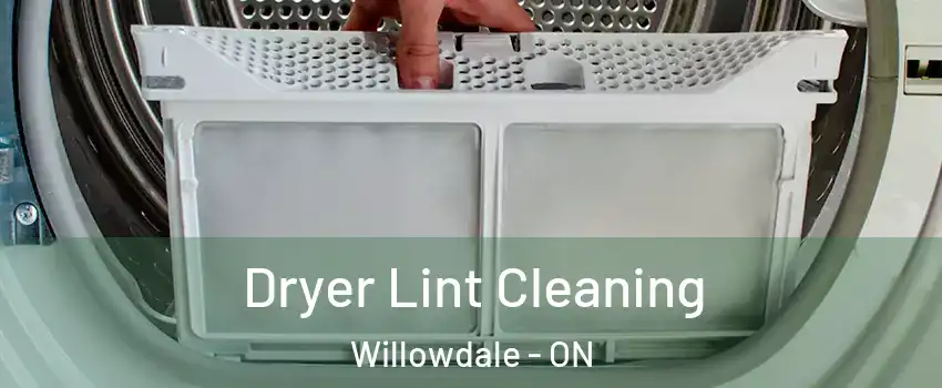  Dryer Lint Cleaning Willowdale - ON