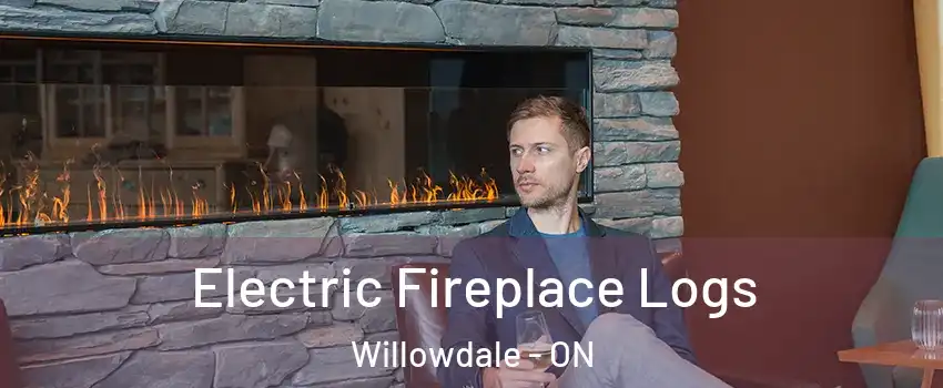  Electric Fireplace Logs Willowdale - ON