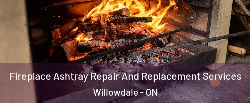  Fireplace Ashtray Repair And Replacement Services Willowdale - ON