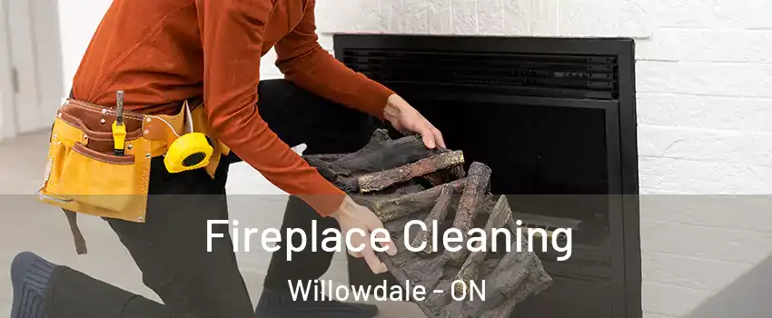  Fireplace Cleaning Willowdale - ON