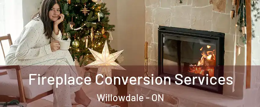  Fireplace Conversion Services Willowdale - ON