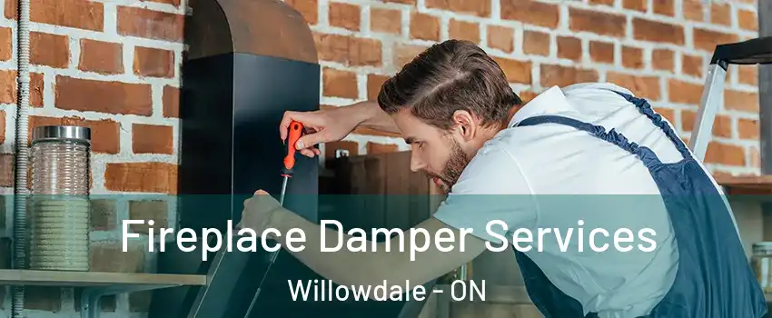  Fireplace Damper Services Willowdale - ON