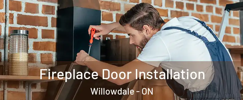  Fireplace Door Installation Willowdale - ON