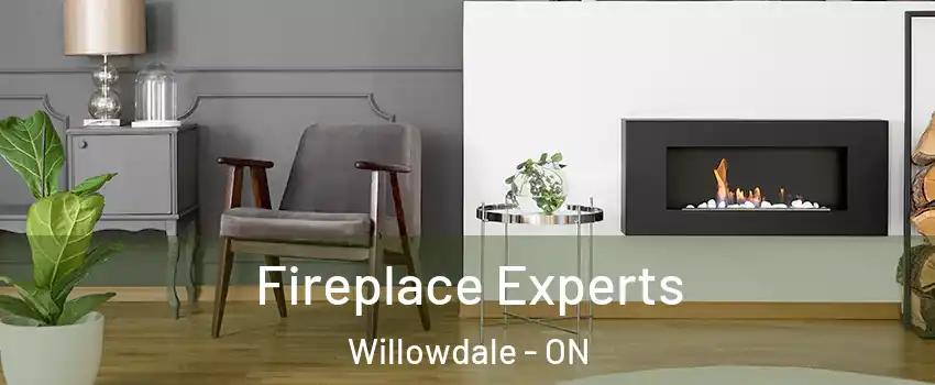  Fireplace Experts Willowdale - ON
