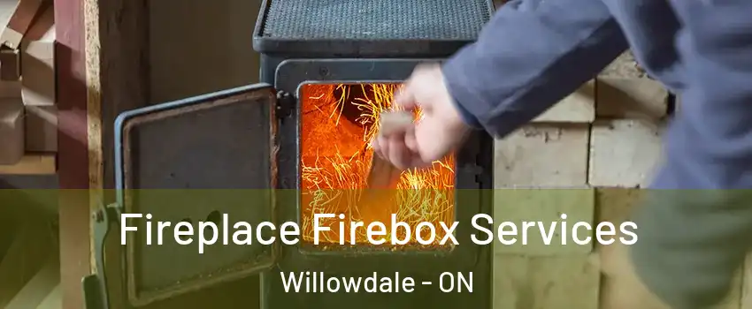  Fireplace Firebox Services Willowdale - ON
