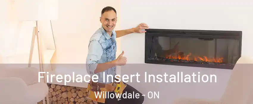  Fireplace Insert Installation Willowdale - ON