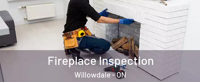  Fireplace Inspection Willowdale - ON