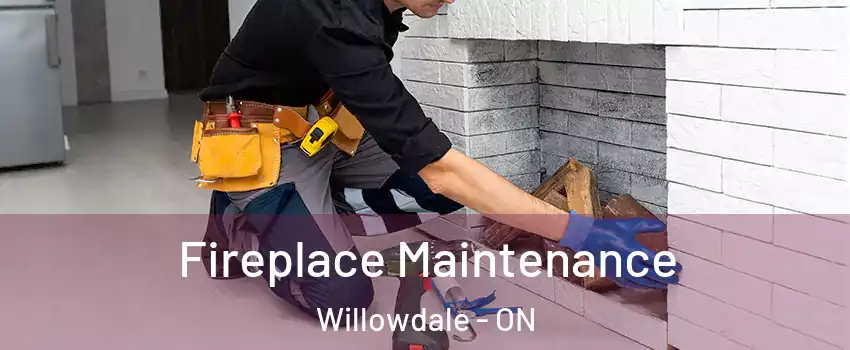  Fireplace Maintenance Willowdale - ON