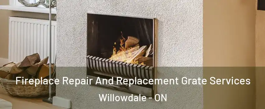  Fireplace Repair And Replacement Grate Services Willowdale - ON
