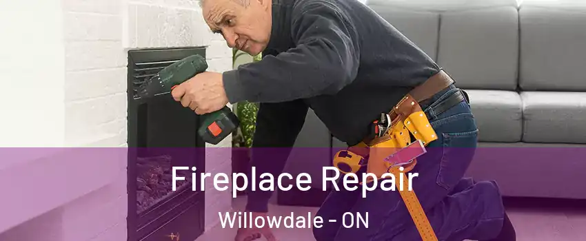  Fireplace Repair Willowdale - ON