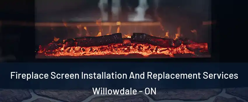  Fireplace Screen Installation And Replacement Services Willowdale - ON