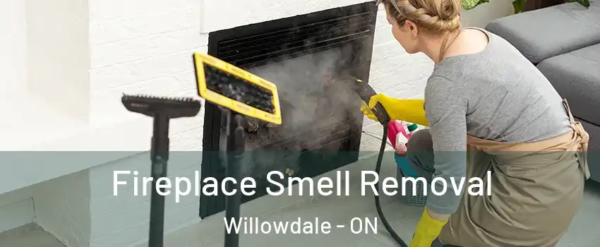  Fireplace Smell Removal Willowdale - ON