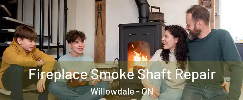  Fireplace Smoke Shaft Repair Willowdale - ON